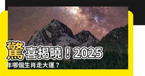 2025 屬